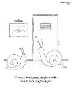 Snail Going For A Walk