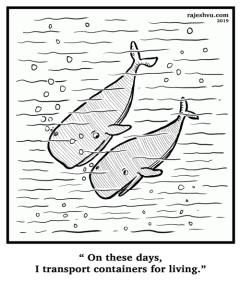 What Whales Do Nowadays